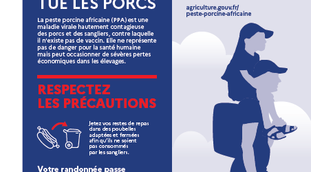 image libre de droit