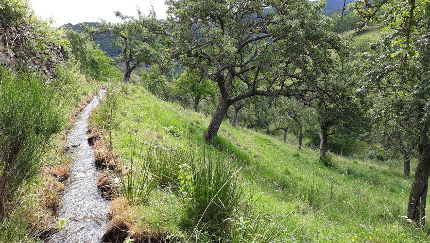 Réunion publique : ASL du canal du Pertuis