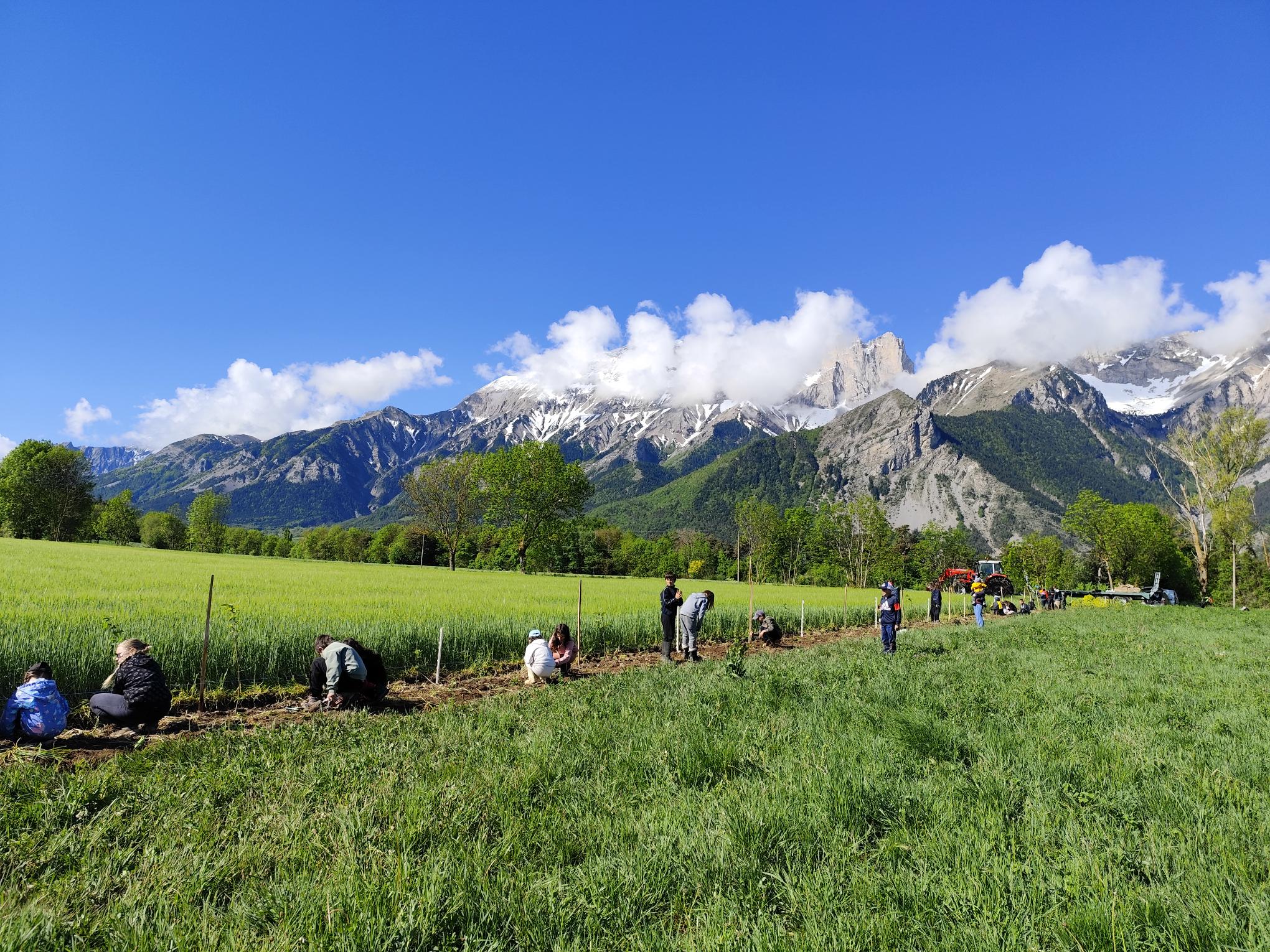 Une haie pour l’avenir d’Aubessagne