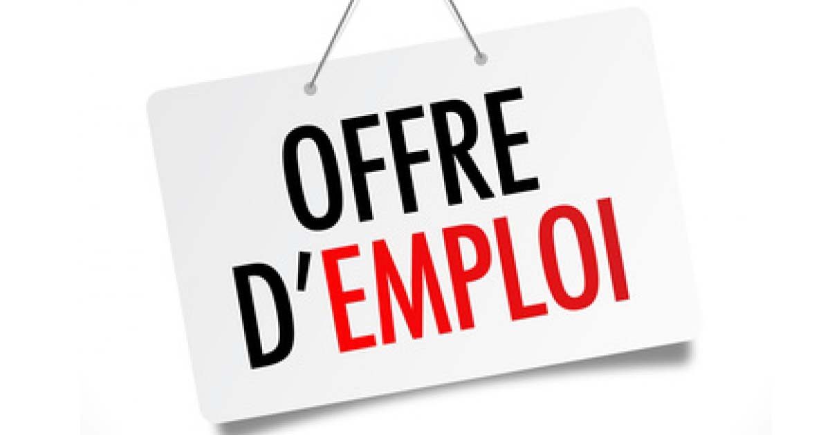 Offre d'emploi : Livreur de journaux