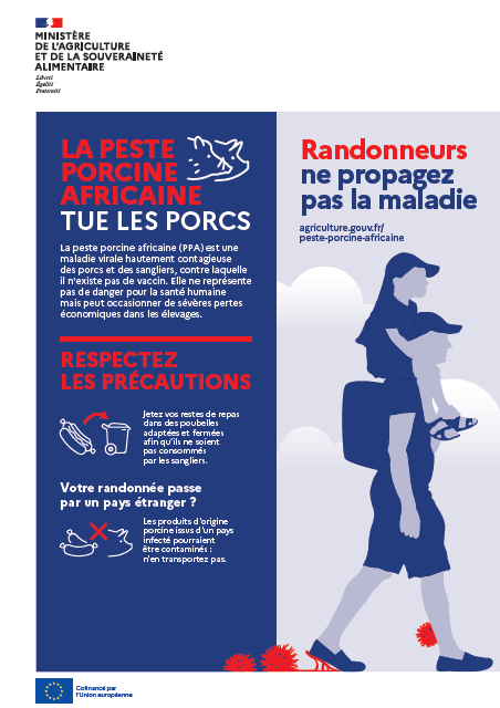 La fièvre porcine africaine